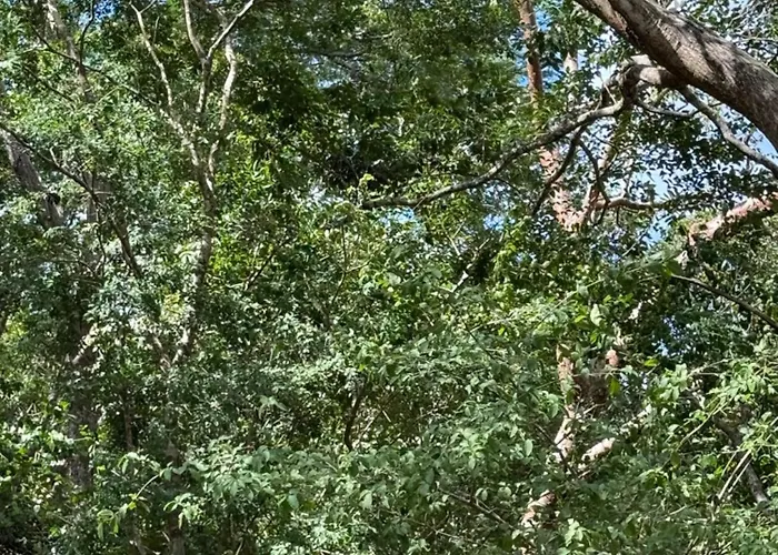 Colonial Guanacaste Villa Artola