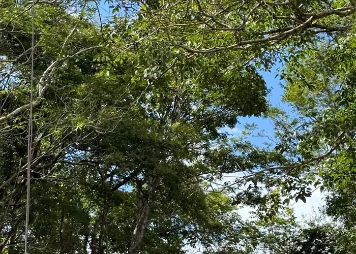 Colonial Guanacaste * Artola